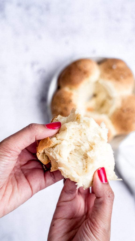 homemade dinner rolls