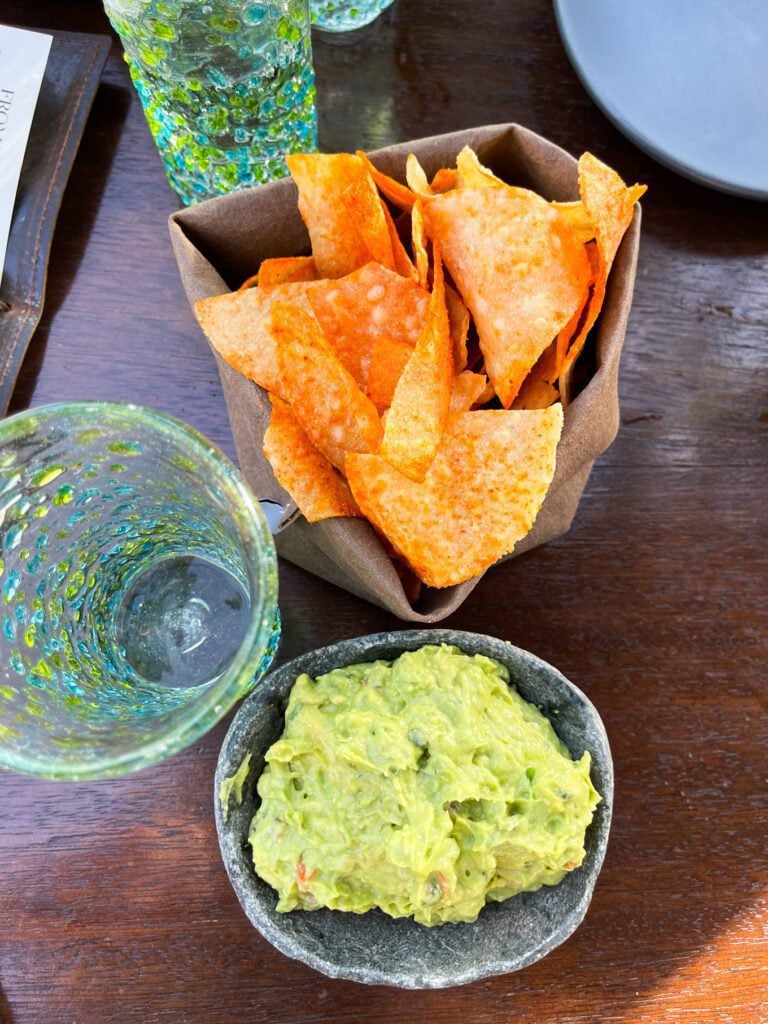 overview of guacamole appetizer with chips