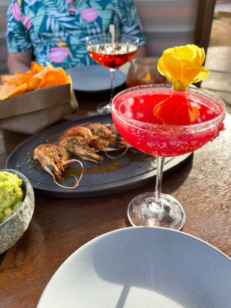 cocktails and appetizers