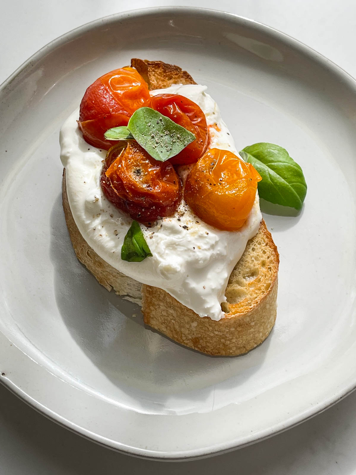 bruschetta with tomatoes and burrata and basil