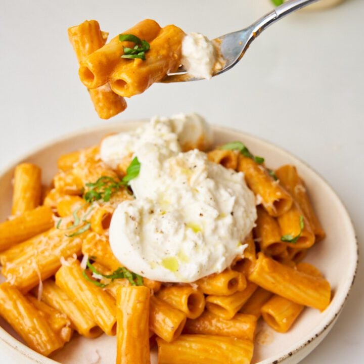 Rigatoni alla vodka with burrata.